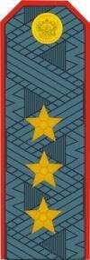 Фальш погоны в армии России, какие на них звезды, лычки