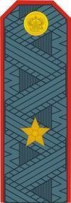Фальш погоны в армии России, какие на них звезды, лычки